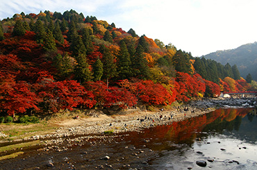 写真：足助の古い町並みを見下ろす